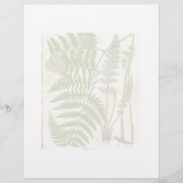 Vintage Botanical Page - Fern