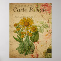 Vintage Botanical Poster - Marigold