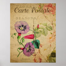 Vintage Botanical Poster - Morning Glory