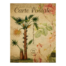 Vintage Botanical Poster - Palm Tree