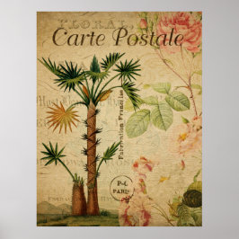 Vintage Botanical Poster - Palm Tree