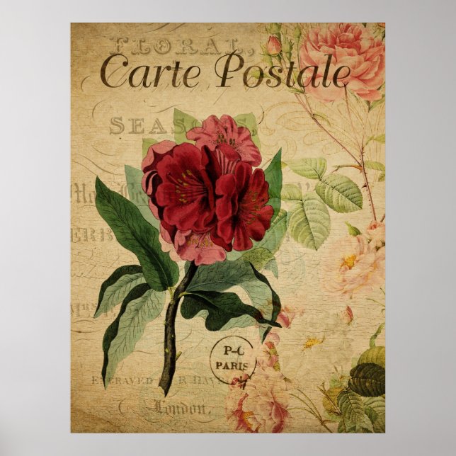 Vintage Botanical Poster - Rhododenron (Frente)