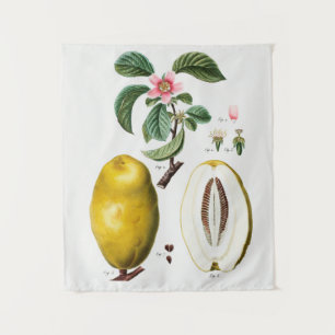 Vintage Botanical Tapeçaria