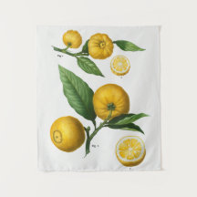 Vintage Botanical Tapeçaria