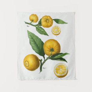 Vintage Botanical Tapeçaria