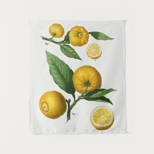 Vintage Botanical Tapeçaria (Frente)