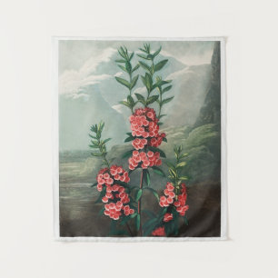 Vintage Botanical Tapeçaria