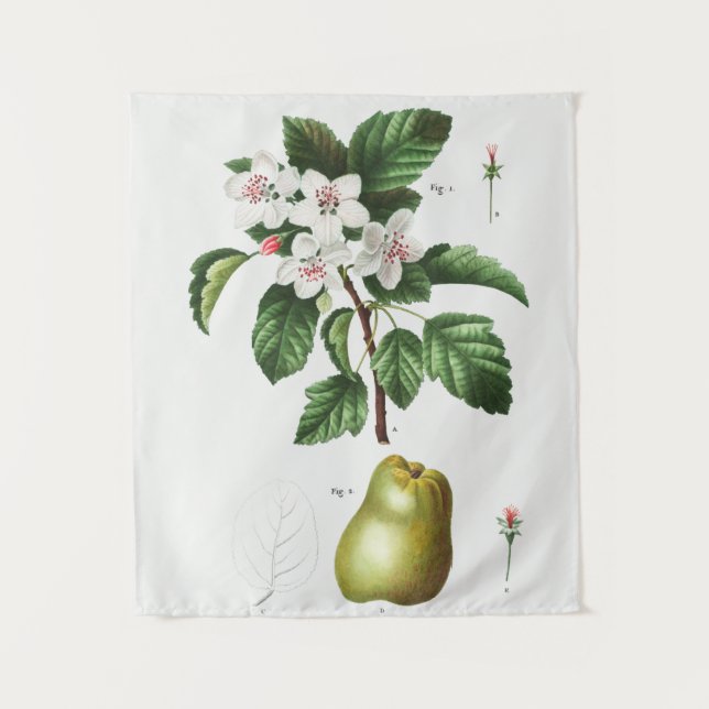 Vintage Botanical Tapeçaria (Frente)