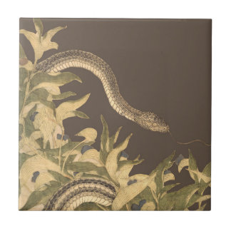 Vintage Brown Cobra