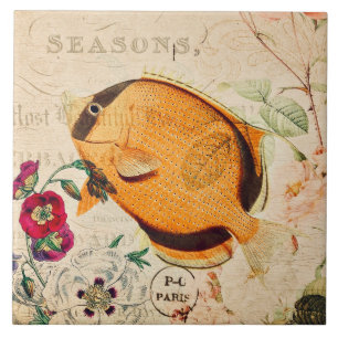 Vintage Butterflyfish Ilustração Floral Francesa