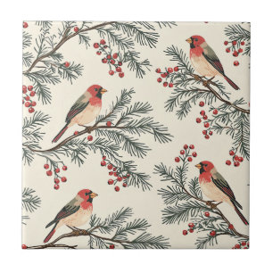 Vintage Cardinal Vermelho Pine Berry Creme Natal