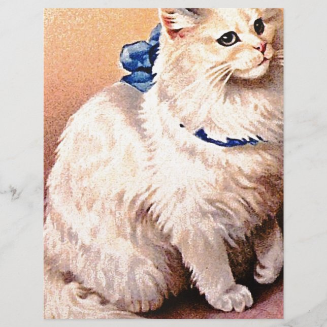 Vintage Cat com Arco Azul (Frente)