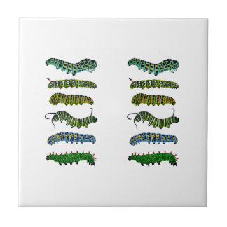 Vintage Caterpillar Illustration Mug 