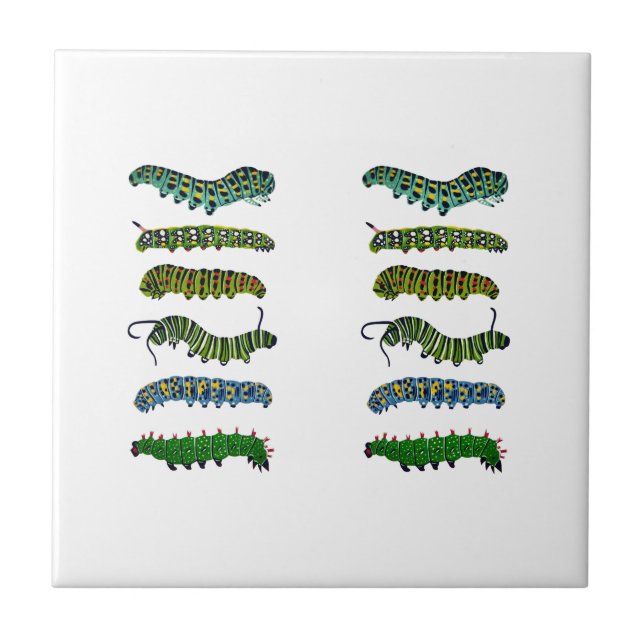 Vintage Caterpillar Illustration Mug  (Frente)