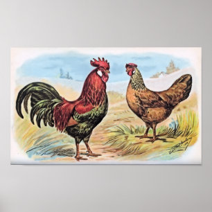 Vintage Chicken Impressão Rooster and Hen
