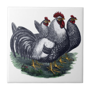 Vintage Chickens