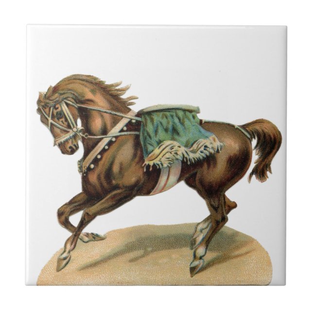 Vintage Circus Horse (Frente)