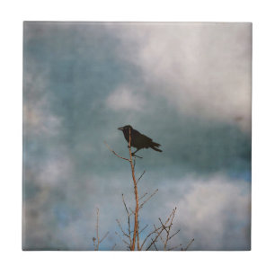 Vintage corvo empoleirado numa árvore