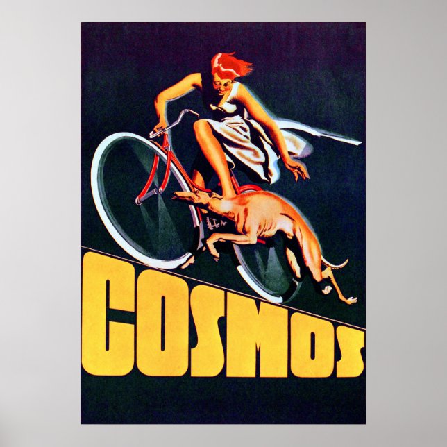 Vintage Cosmos Bicycle Poster (Frente)