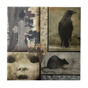 Vintage Crow Oddities