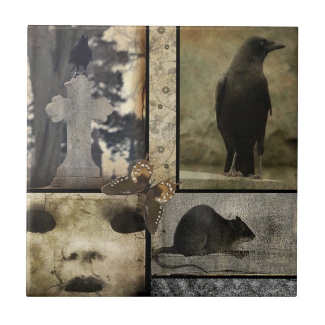 Vintage Crow Oddities (Frente)