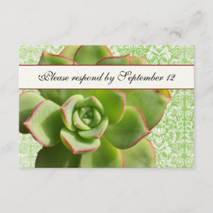 Vintage Damask Ivory rsvp Verde Bem Suculto