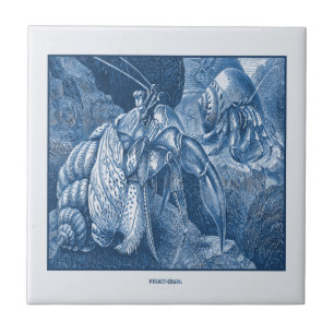 Vintage Delft Blue NMaritime Hermit Crabs Etching
