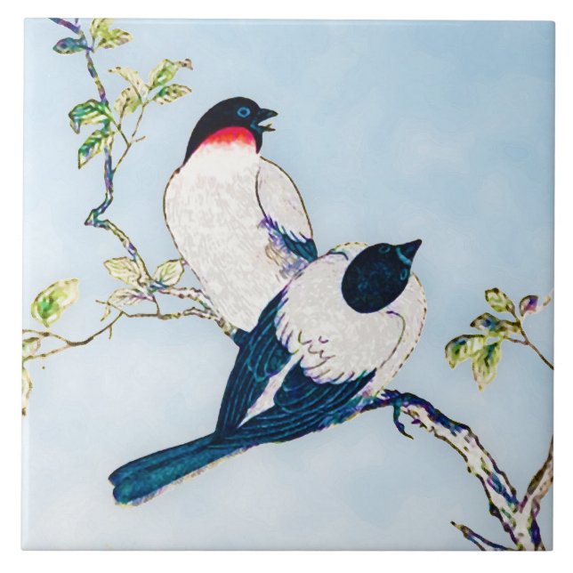 Vintage - Desenho de Tinta Japonesa das Finches (Frente)