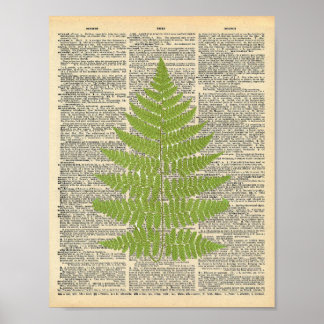 Vintage Dictionary Art Green Fern Frond Impressão