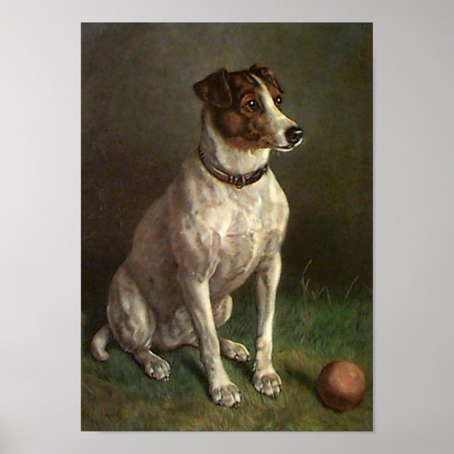 Vintage Dog Image Poster (Frente)