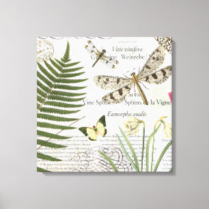 Vintage Dragonflies esticaram a canvas