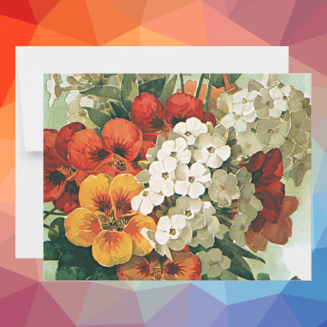 Vintage Eastman's Seed Catalog Art, 1897 (Criador carregado)