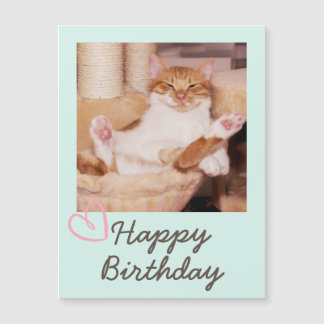 Vintage Engraçado Gato e Feliz Aniversário