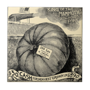 Vintage Era Vitoriana Fruta e Anúncio de Abóbora V