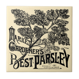 Vintage Era Vitoriana Fruta e Anúncio de salsa Veg