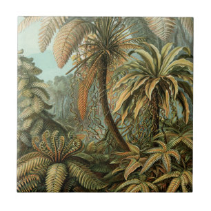 Vintage Ferns e Palm Tree Botânico
