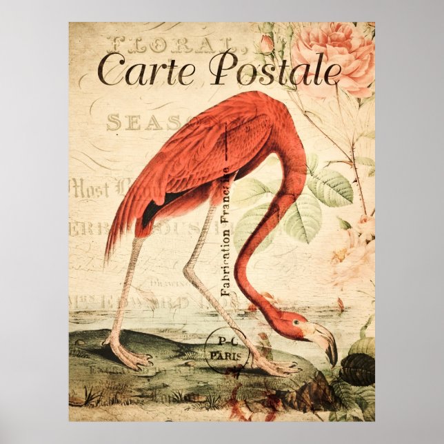 Vintage Flamingo Bird French Floral Poster (Frente)