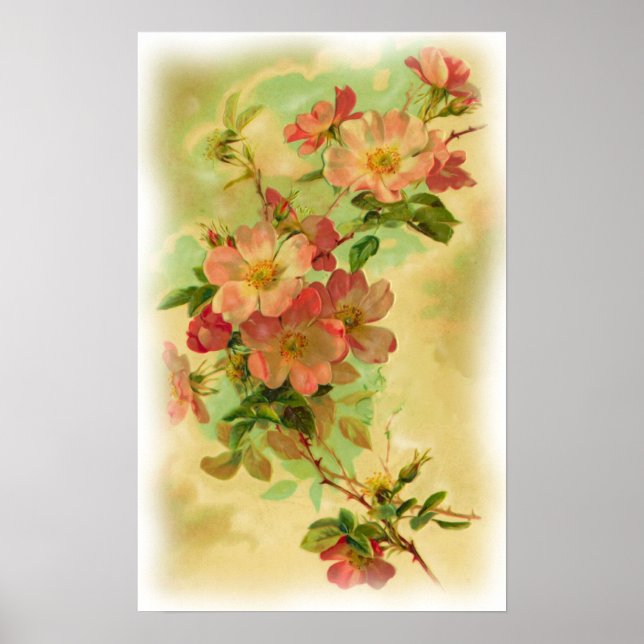 Vintage Floral Poster (Frente)
