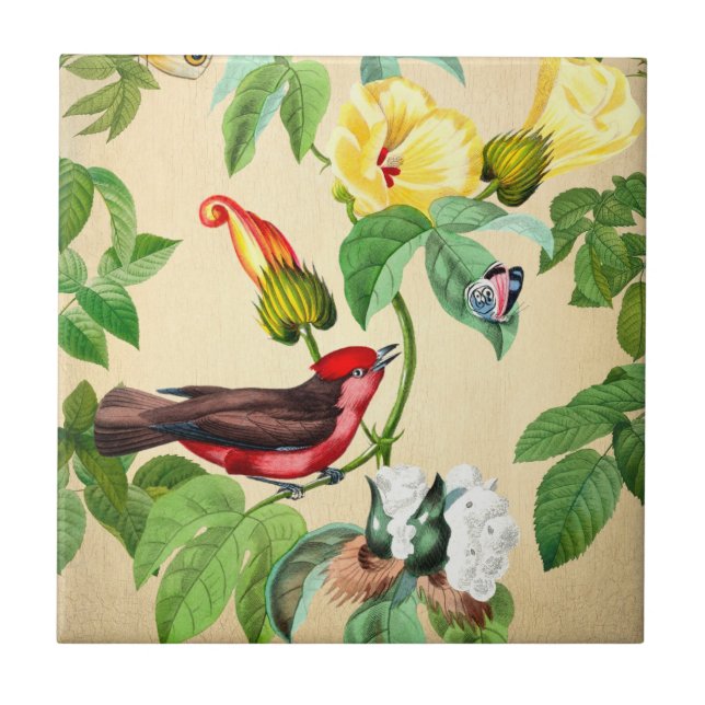 Vintage Floral Red Bird Backsplash (Frente)