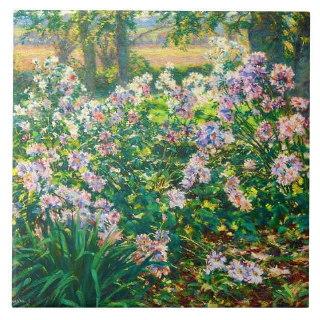 Vintage Flores bonito Ilustração Windflower (Frente)