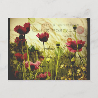 Vintage flores Cartão postal
