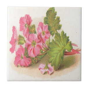 Vintage, flores cor-de-rosa, folhas verdes,