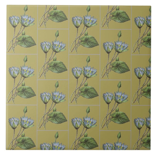 Vintage Flores Verde Azul Amarelo Água Lily (Frente)