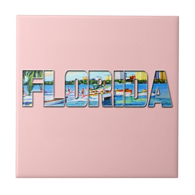 Vintage Florida (Frente)