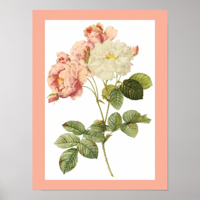 Vintage Flower poster 2 (Frente)