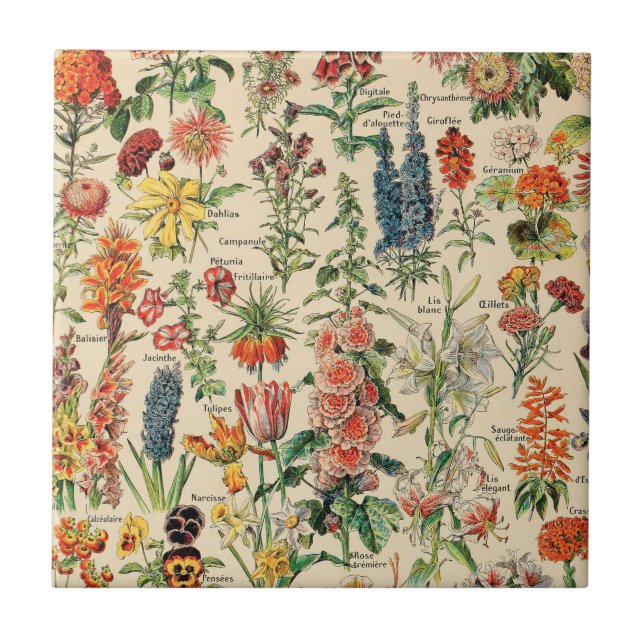 Vintage Flowers Cerâmica Azulejo (Frente)