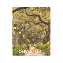 Vintage Forsyth Park - Savannah, GA