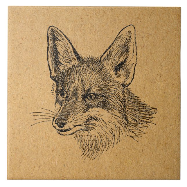 Vintage Fox Illustration Antique Animal Art Brown (Frente)