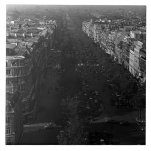 Vintage França campeã Paris elysee avenue