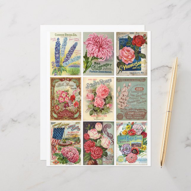 Vintage Garden e Flor Seeds Ephemera Clipart (Frente/Verso In Situ)